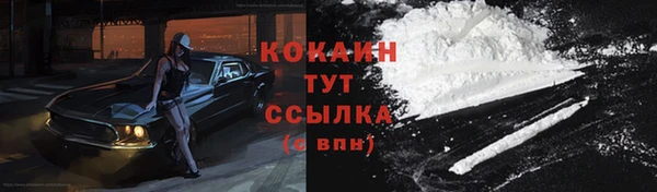 прущая мука Магас