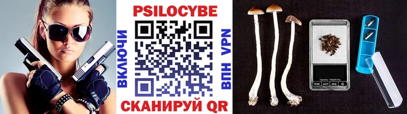 Псилоцибиновые грибы прущие грибы  где купить   Суздаль 